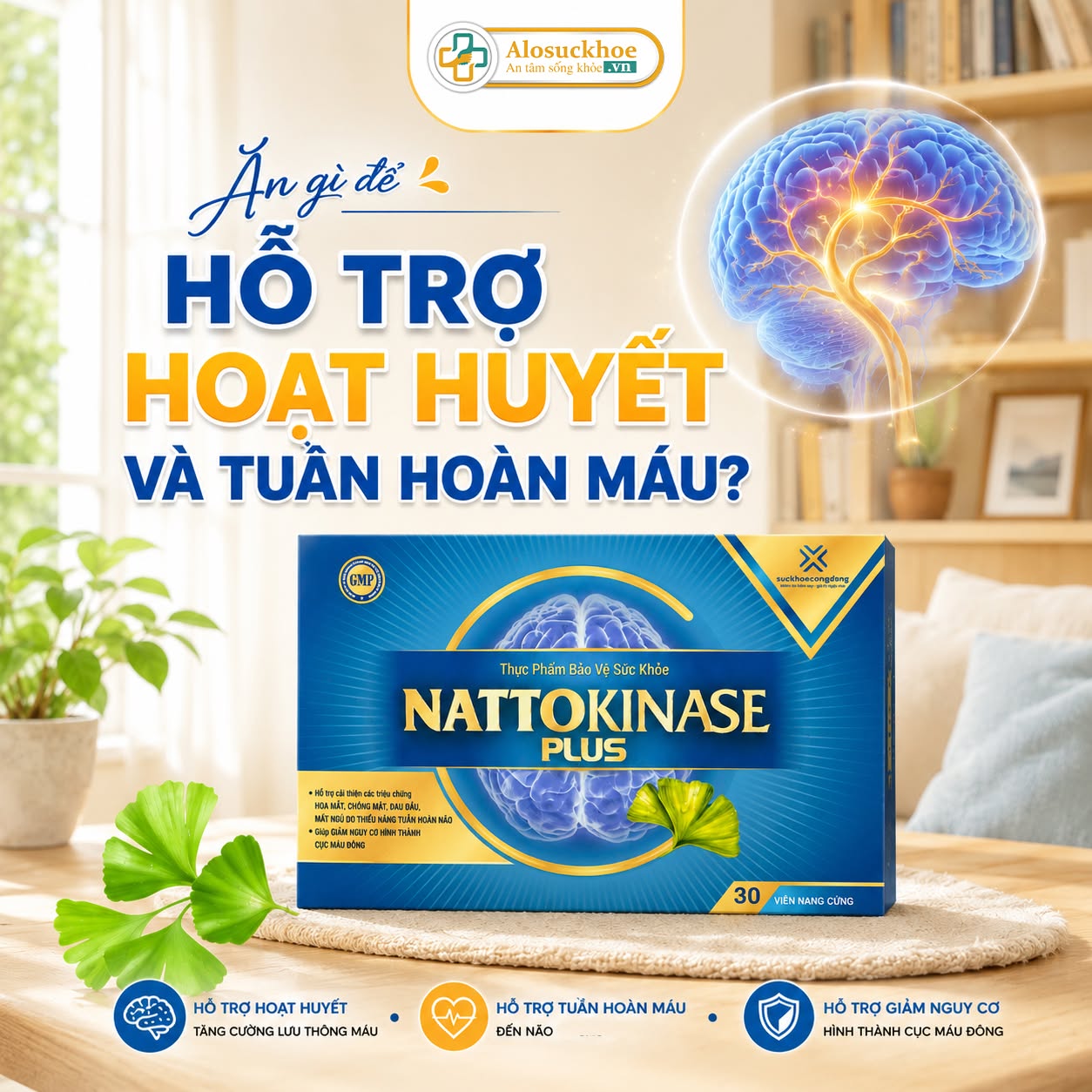 an-gi-de-ho-tro-hoat-huyet-va-tuan-hoan-mau-2.jpg