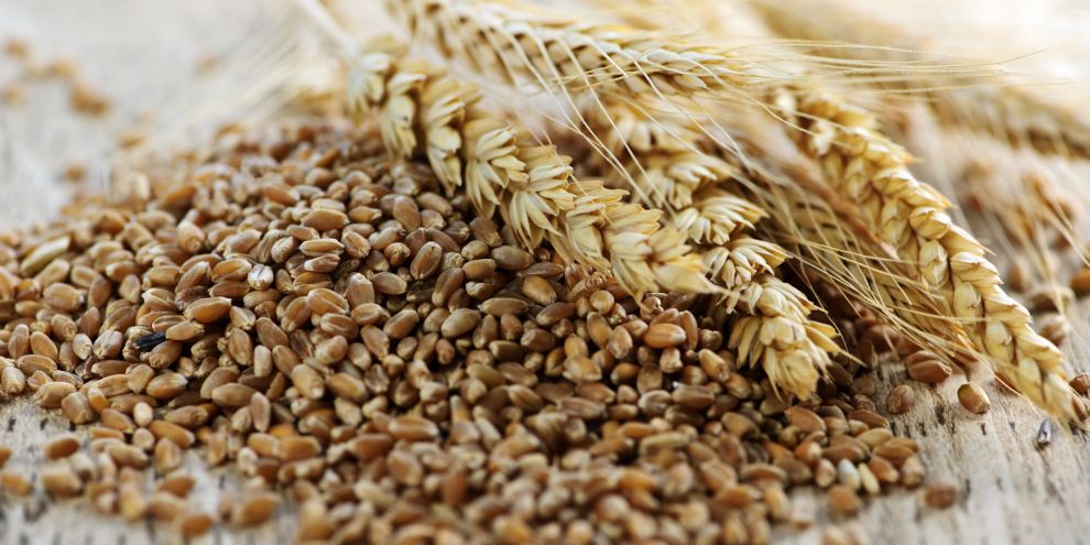 Thực Phẩm Nào Là “Chìa Khóa” Giúp Ổn Định Đường Huyết?